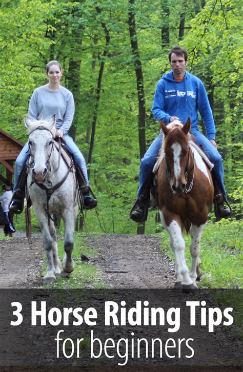 horse riding tips for beginners
